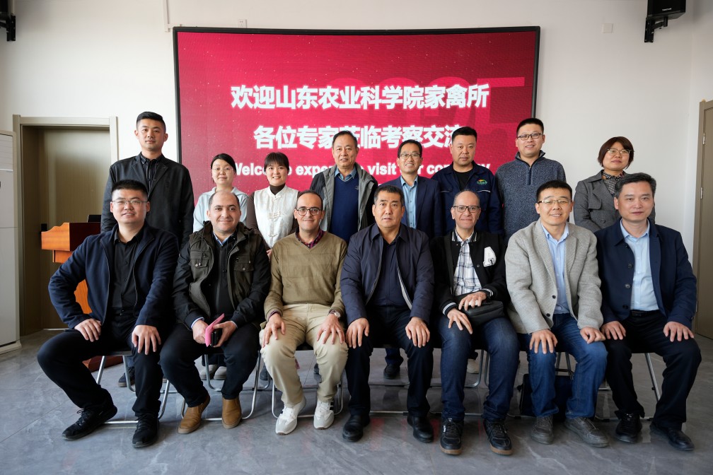 【長田動態(tài)】山東家禽研究所黨委副書記李桂明一行蒞臨易豐農(nóng)業(yè)調(diào)研 指導禽業(yè)發(fā)展新路徑